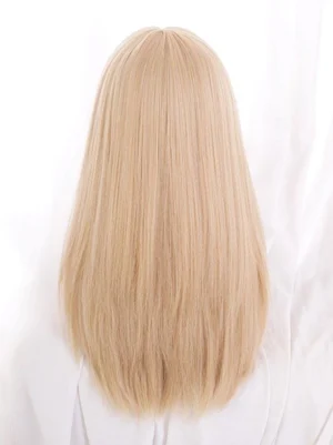 Back view of long light gold lolita wig showing full-length straight synthetic hair, uniform champagne blonde coloration, and neat hair tail against white background